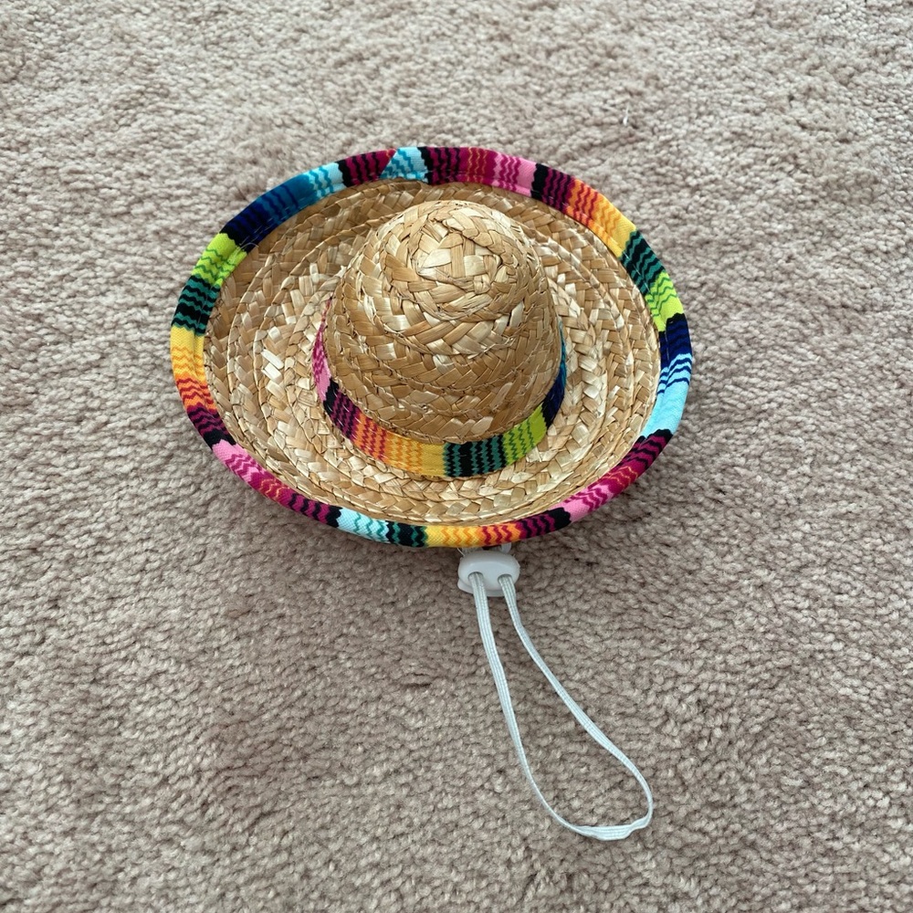 Halloween Pet Sombrero